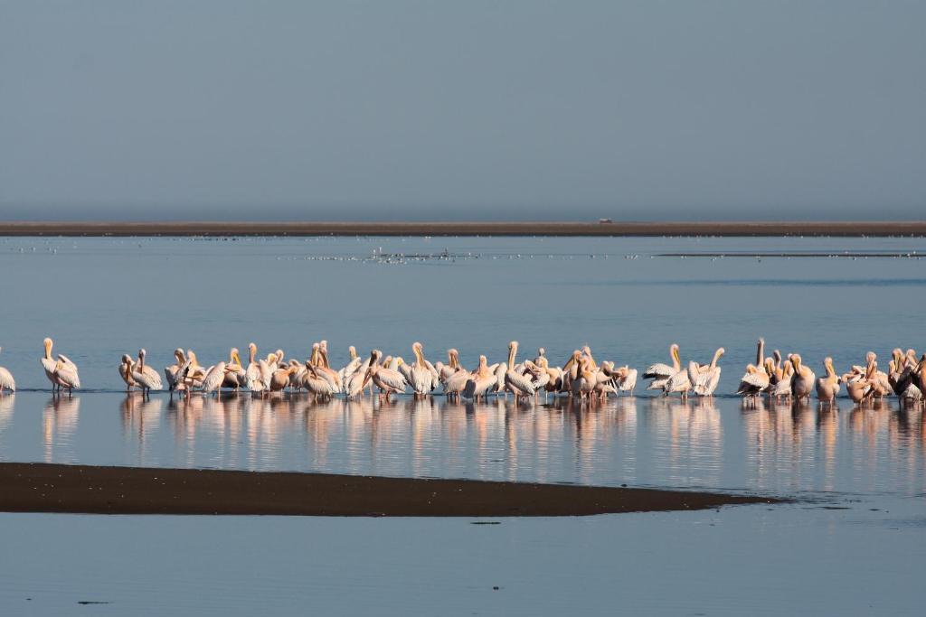 Lagoon Lodge Уолфиш-Бей Экстерьер фото